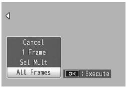 RICOH CX2 - Selecting All Frames - 1