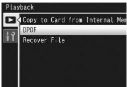 RICOH CX2 - Setting DPOF for Multiple Files - 1