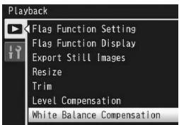 RICOH CX2 - Correcting the White Balance - 1
