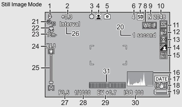 RICOH CX2 - Example of Picture Display when Shooting Pictures - 1