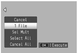 RICOH CX2 - Protecting/Unprotecting a File - 1