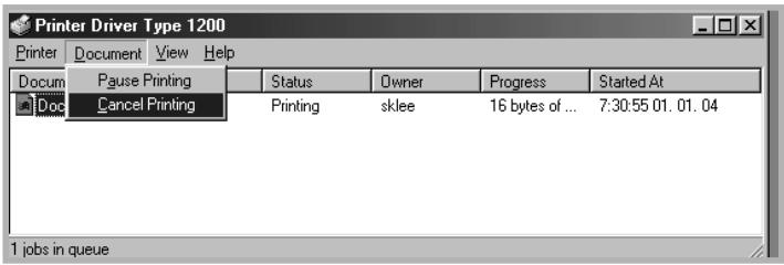Printer Driver Type 1200 Printer Document View Help Docum Pause Printing Status Owner Progress Started At Doc Cancel Printing Printing sklee 16 bytes of ... 7:30:55 01. 01. 04 1 jobs in queue