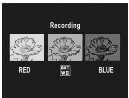 RICOH GR DIGITAL II - Shooting Consecutively with Different White Balance (WB-BKT: White Balance Bracket) - 3
