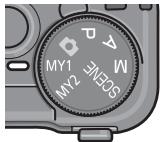 RICOH GR DIGITAL II - Press the shutter release button to shoot a picture. - 1