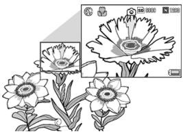 RICOH GR DIGITAL II - New image processing engine—GR Engine II - 1