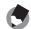 RICOH GR DIGITAL II - Press the shutter release button to shoot a picture. - 3