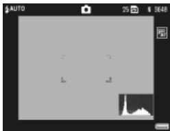 RICOH GR DIGITAL III - Shooting Info. Display Frame - 1