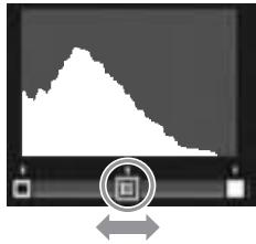 RICOH GR DIGITAL III - Tips: Choosing the Black Point, White Point, and Mid-Point - 1