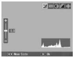 RICOH GR DIGITAL III - Display the exposure compensation slider. - 1