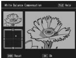 RICOH GR DIGITAL III - White Balance Compensation - 2