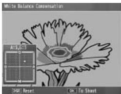 RICOH GR DIGITAL III - White Balance Compensation - 1
