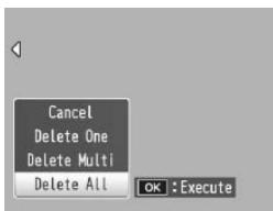 RICOH GR DIGITAL III - Deleting All Files - 1
