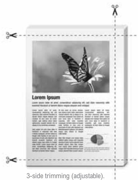 RICOH PRO 1106EX - Perfectly glued books - 1