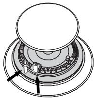 SMEG CS19P-9 - Igniters and thermocouples - 1