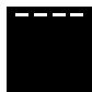 SMEG SF6395XE - Static - 1