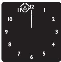 SMEG SF6399XP - Timed cooking - 2