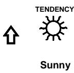 LA CROSSE TECHNOLOGY WS1600 - WEATHER FORECAST AND WEATHER TENDENCY: WEATHER FORECASTING ICONS: - 1