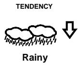 LA CROSSE TECHNOLOGY WS1600 - WEATHER FORECAST AND WEATHER TENDENCY: WEATHER FORECASTING ICONS: - 3