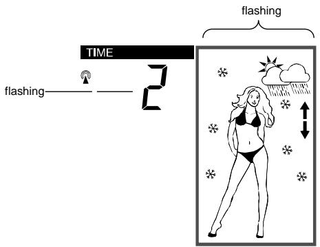 LA CROSSE TECHNOLOGY WS9711 - WEATHER FORECASTING ICON SENSITIVITY SETTING - 1
