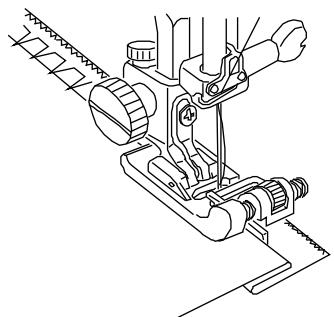 ELNA 6001 - Mending a Tear - 7