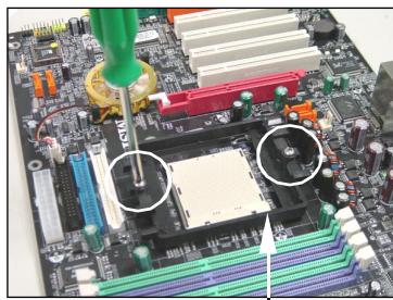 MSI RX480 NEO2 - MSI Reminds You... - 5