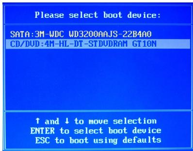Please select boot device: SATA:3M-WDC WD3200AJS-22B4A0 CD/DUD:4M-HL-DT-STDUDRAM GT10N ↑ and ↓ to move selection ENTER to select boot device ESC to boot using defaults