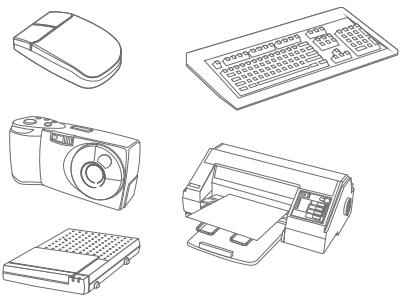 MSI WIND TOP AP2000 - Connecting the USB Devices - 2