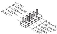 MSI C847IS-P33,  C847MS-E33 - JUSB1, JUSB2: USB 2.0 Erweiterungsanschlüsse - 1