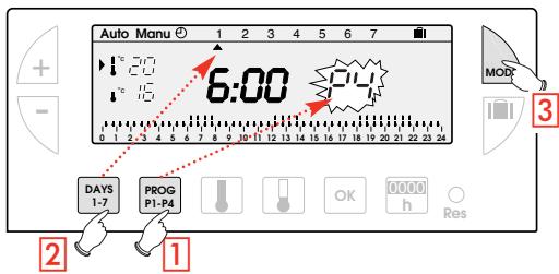 FLASH THERMO DIGI 2 HF - LETTURA DEI PROGRAMMI - 1
