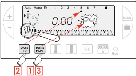 FLASH THERMO DIGI 2 HF - Creating a P4 programme - 1