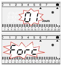 FLASH THERMO DIGI 2 HF - different settings are available for maintaining temperature above frost level: - 2