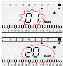 FLASH THERMO DIGI 2 HF - Setting frost protection temperature for a certain number of days. - 1