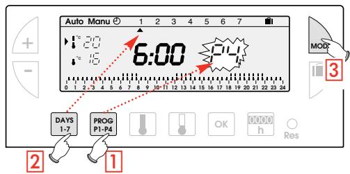 FLASH THERMO DIGI 2 HF - Programme reading - 1