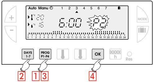 FLASH THERMO DIGI 2 HF - LA PROGRAMMAZIONE [PROG] [P1-P4] - 1