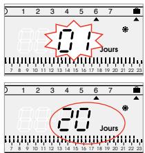 FLASH THERMO DIGI 2 HF - Maintien hors-gel pour un nombre de jours : - 1