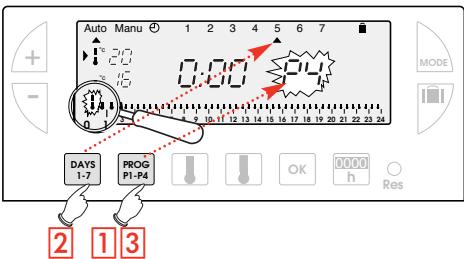 FLASH THERMO DIGI 2 HF - Création d'un programme P4 - 3