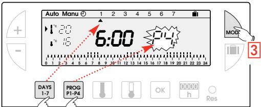 FLASH THERMO DIGI 2 HF - LECTURA DE LOS PROGRAMAS - 1