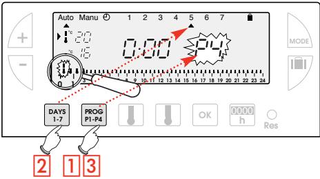 FLASH THERMO DIGI 2 HF - Creazione di un programma P4 - 1