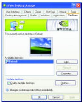 GIGABYTE GV-NX53128D - nViewDesktops properties - 1