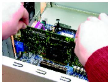 GIGABYTE GV-R9000 PRO II - To install your graphics accelerator card: - 3
