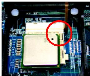GIGABYTE 8S651M-RZ - Step 1-1: CPU Installation - 2