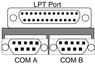 GIGABYTE GA-6RX-1 - COM A / COM B / LPT Port - 2