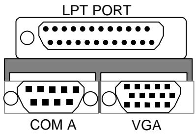GIGABYTE GA-6WFZ7-E - COM A / VGA / LPT Port - 2