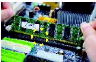 GIGABYTE GA-8PE800 PRO-R - Step 2: Install memory modules - 3