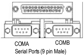 GIGABYTE GA-8PE800 PRO-R - Parallel Port and Serial Ports (COMA/COMB) - 1