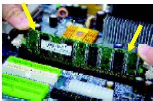 GIGABYTE GA-8PE800 PRO-R - Step 2: Install memory modules - 4