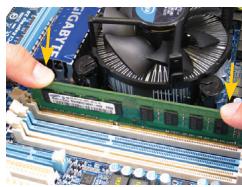 GIGABYTE GA-M52LT-S3P - Memasang Memori - 1