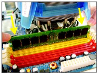 GIGABYTE GA-MA790FX-DS5 - 1-4-2 Installing a Memory - 3