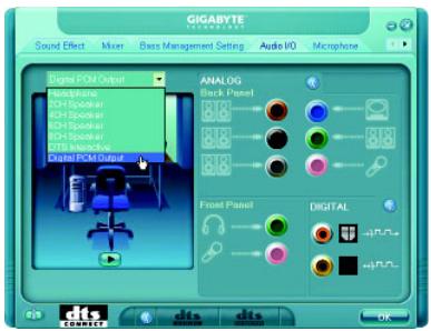 GIGABYTE GA-MA790FX-DS5 - Digital PCM Output Setup: - 1