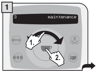 SAECO TALEA RING PLUS - THE WASH CYCLE CANNOT BE INTERRUPTED. A PERSON MUST BE PRESENT DURING THE OPERATION. - 1